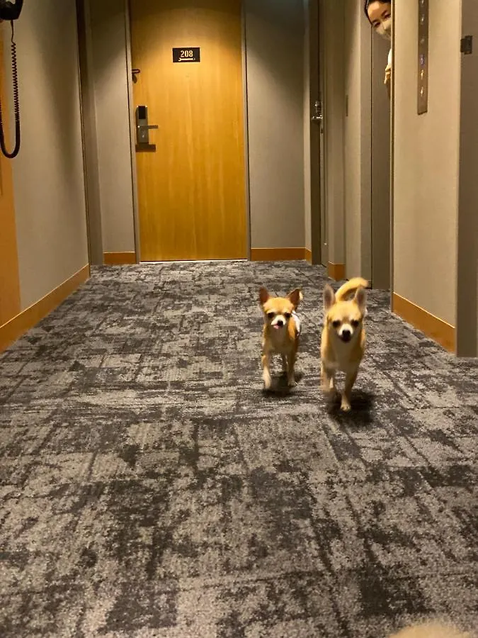 Ici Hotel Asakusabashi Tokyo Japan