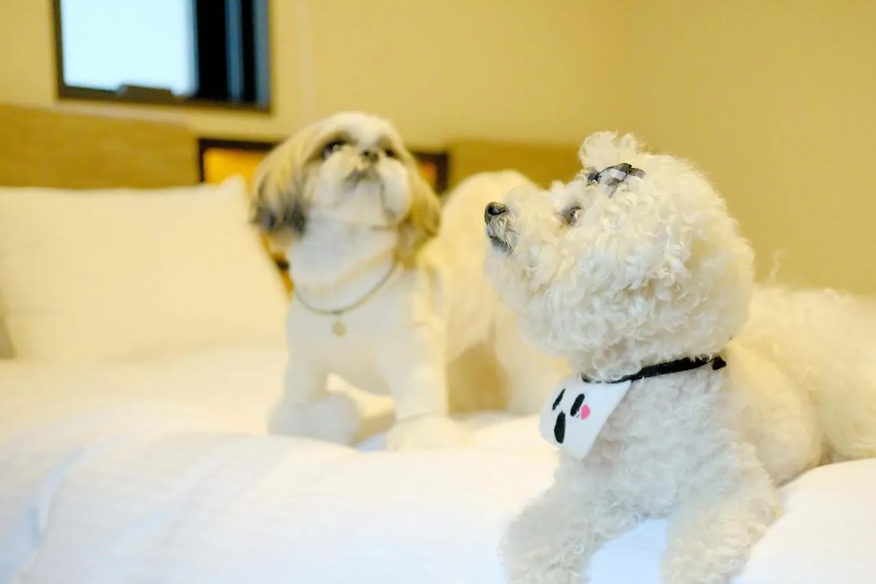 Ici Hotel Asakusabashi Tokyo 3*,