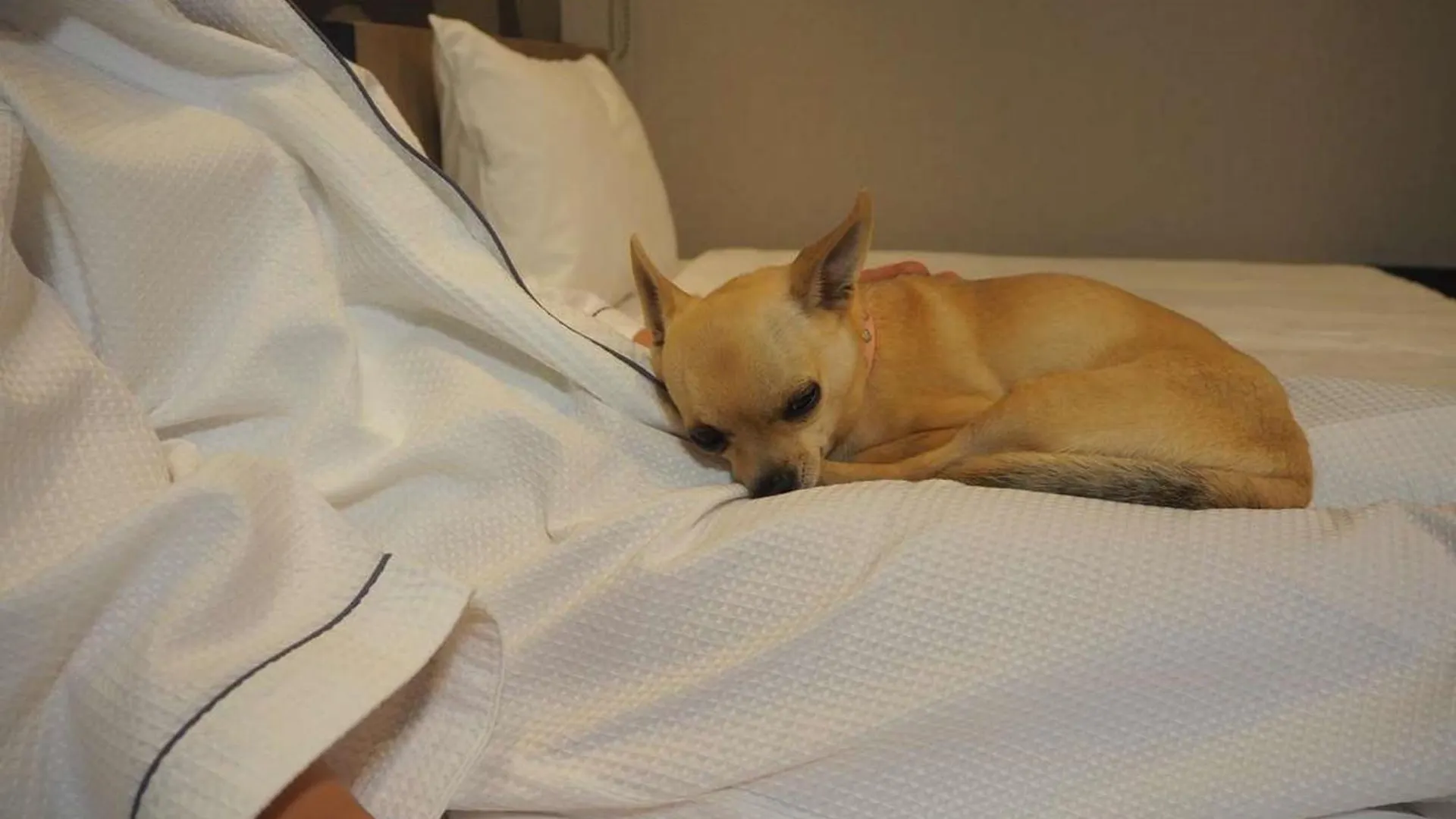 Ici Hotel Asakusabashi 도쿄