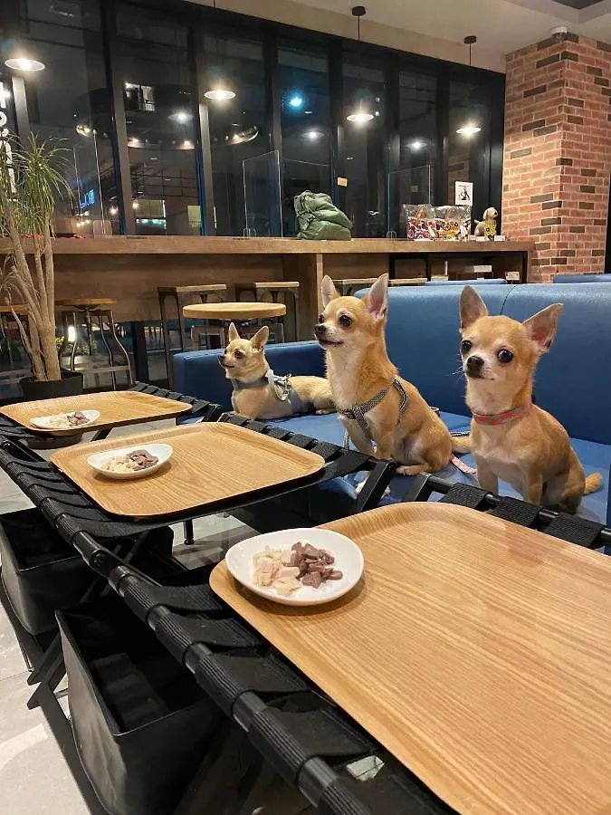 Ici Hotel Asakusabashi Präfektur Tokio